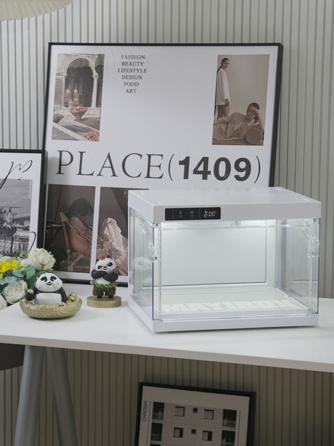 Shoe Organizer 1pack