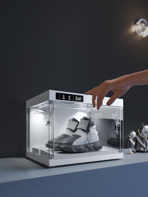 Shoe Organizer 1pack