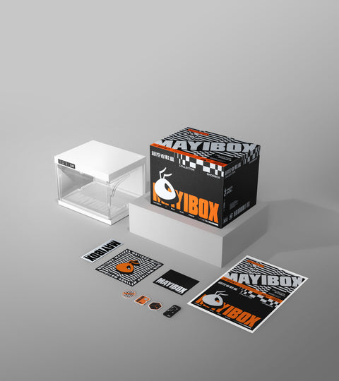 Shoe Organizer 1pack