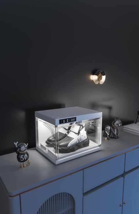 Shoe Organizer 1pack